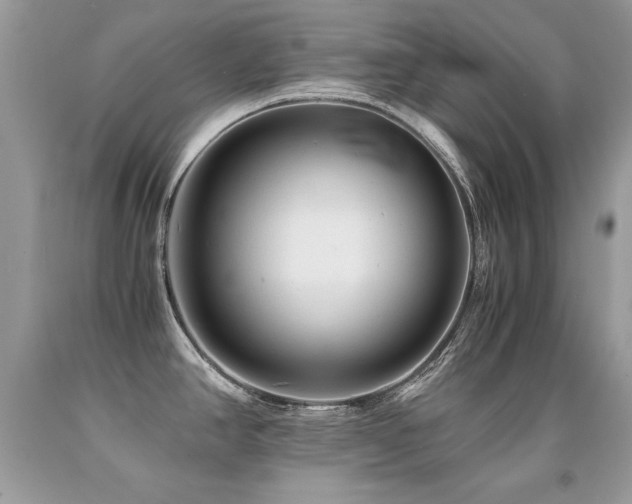X0000091921390200709051431