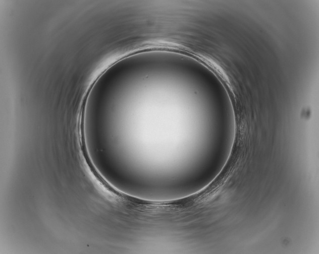 X0000091921391200709051431