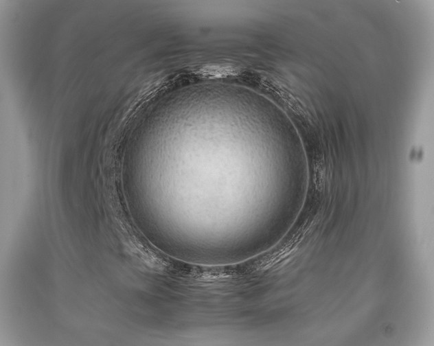 X0000091921393200709051430