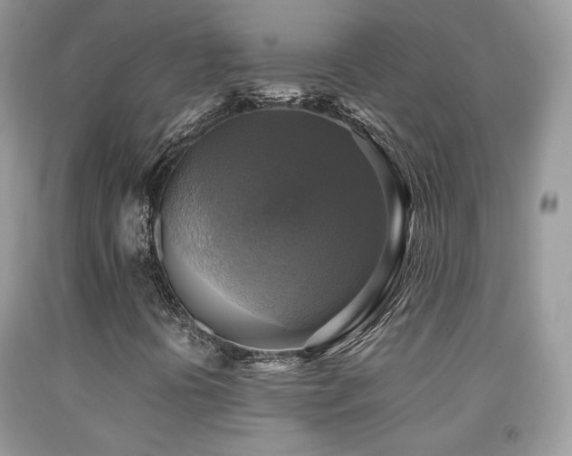 X0000091921394200709051430