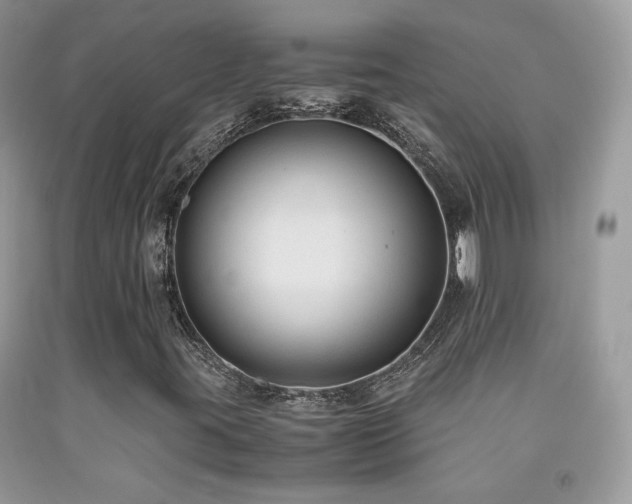 X0000091921395200709051430