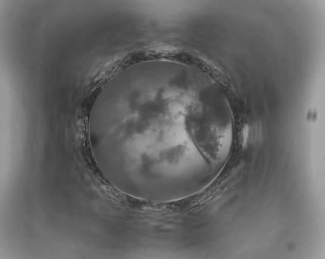 X0000091921397200709051430