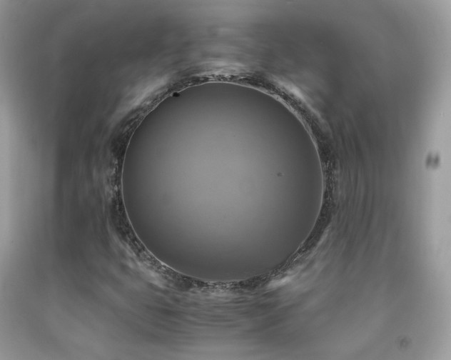X0000091921399200709051430