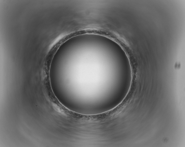 X0000091921400200709051430