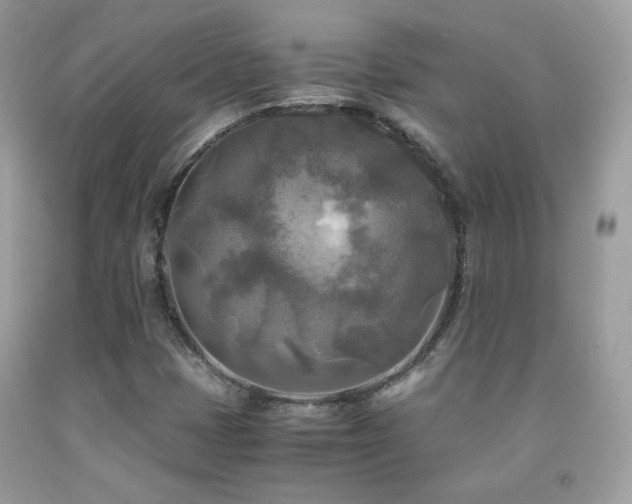X0000091921401200709051430