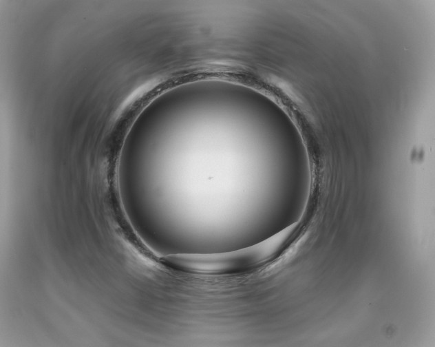 X0000091921402200709051430