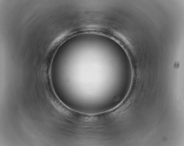 X0000091921403200709051430