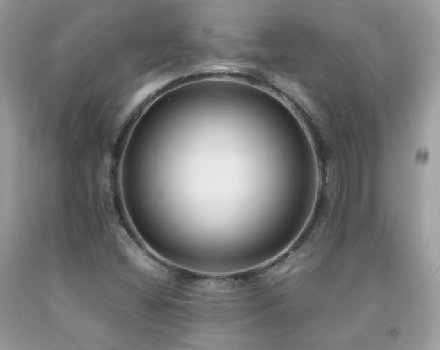 X0000091921404200709051430