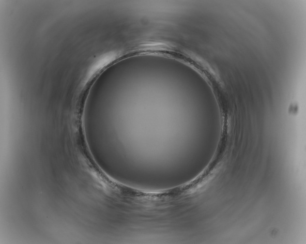 X0000091921405200709051430