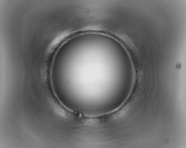 X0000091921406200709051430