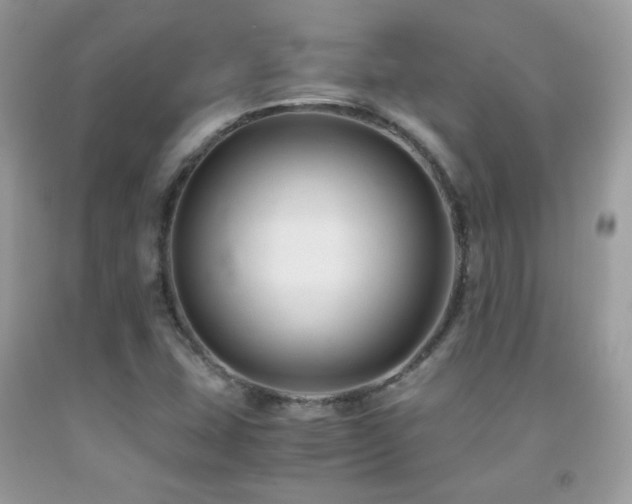 X0000091921407200709051430
