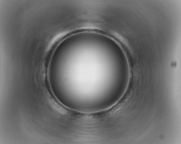 X0000091921408200709051430