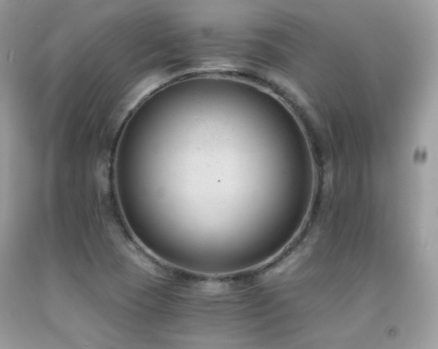 X0000091921409200709051430