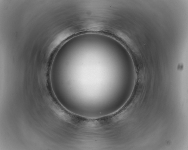 X0000091921410200709051430