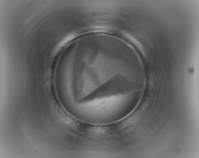 X0000091921411200709051430