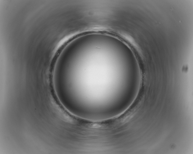 X0000091921412200709051430