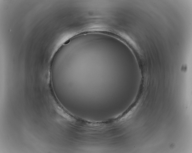 X0000091921413200709051430