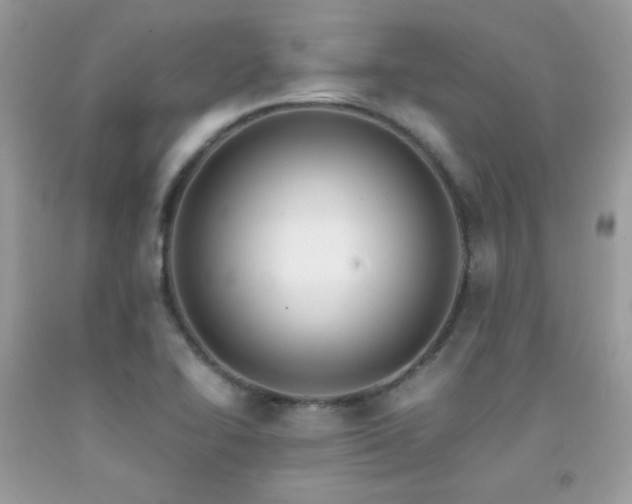 X0000091921414200709051430