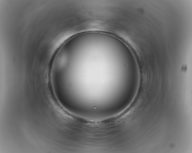 X0000091921415200709051430