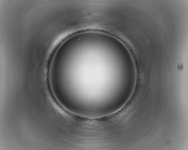 X0000091921416200709051430