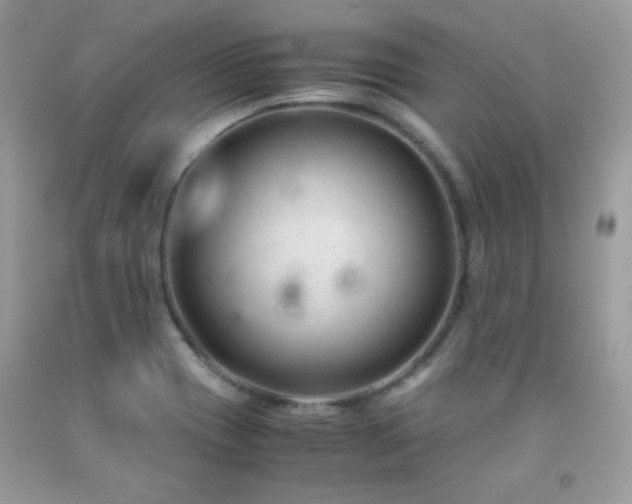 X0000091921417200709051430