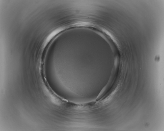 X0000091921418200709051430