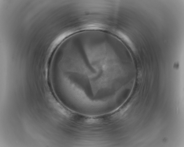 X0000091921419200709051430