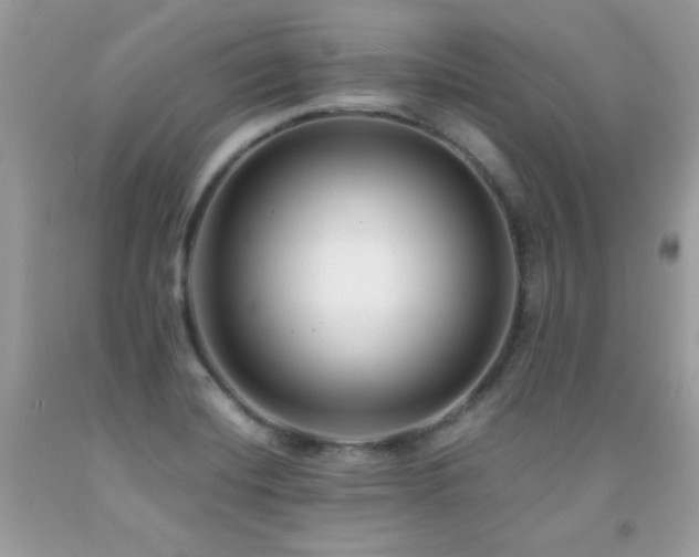 X0000091921420200709051430