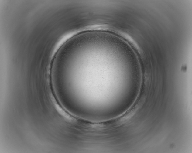 X0000091921421200709051430