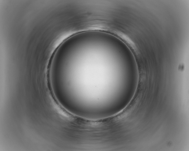 X0000091921423200709051430