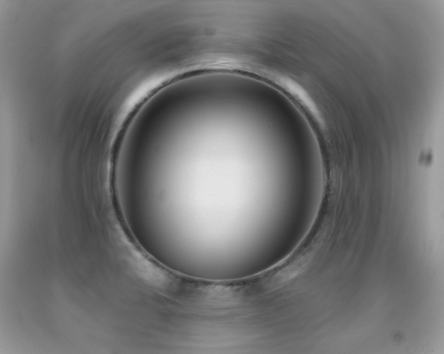 X0000091921424200709051430
