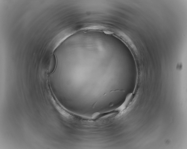 X0000091921425200709051430