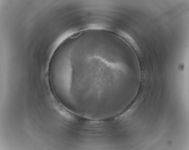 X0000091921427200709051430