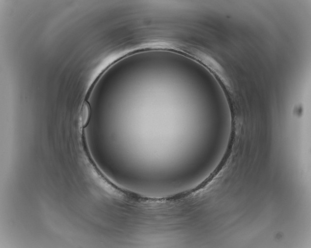 X0000091921428200709051430