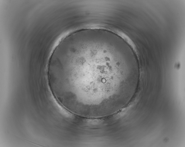 X0000091921429200709051430