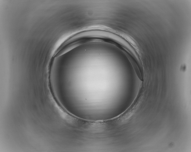 X0000091921430200709051430