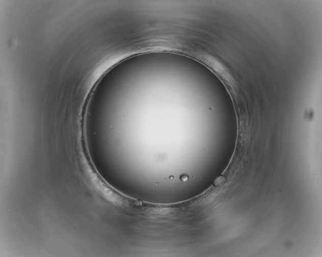 X0000091921431200709051430