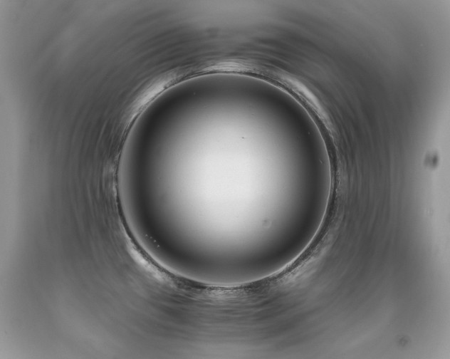 X0000091921433200709051430
