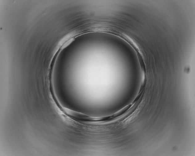 X0000091921434200709051430