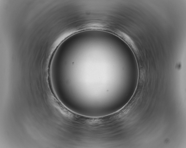 X0000091921435200709051430