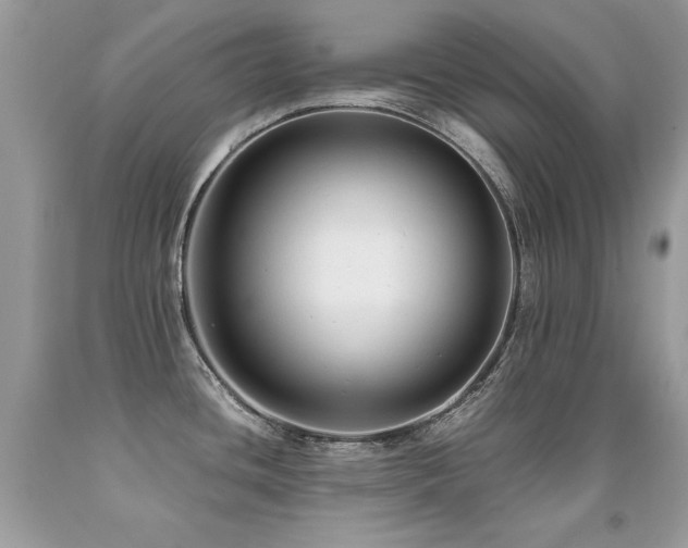 X0000091921436200709051430