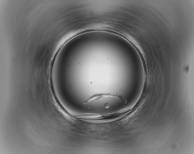 X0000091921437200709051430