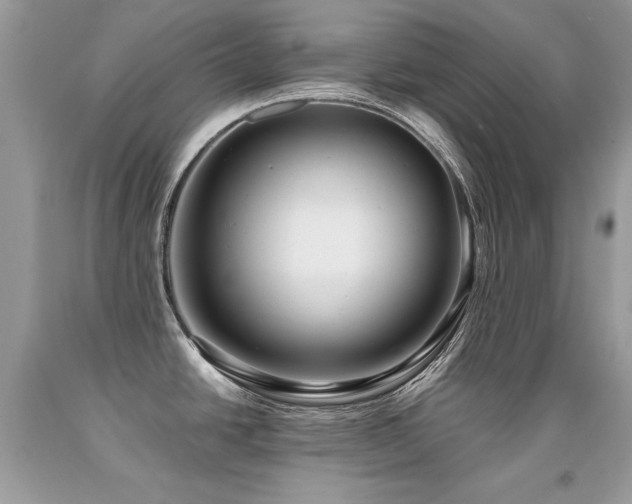 X0000091921438200709051430