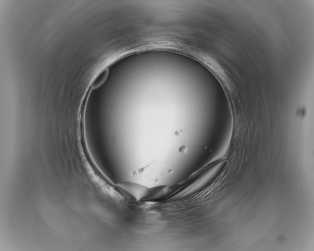 X0000091921439200709051430