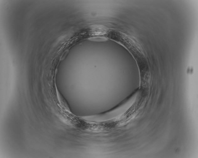 X0000091921441200709051430