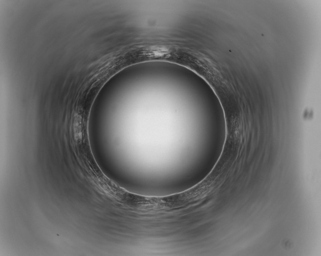X0000091921442200709051430