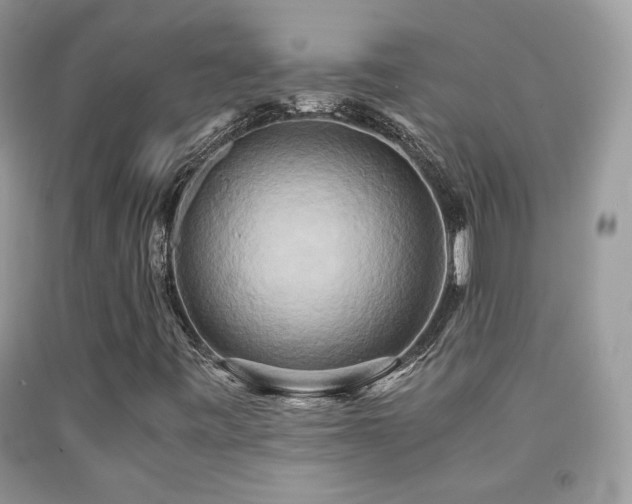X0000091921443200709051430