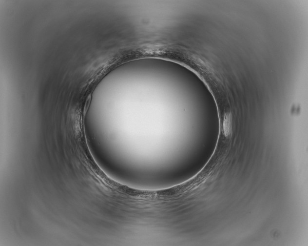 X0000091921444200709051430