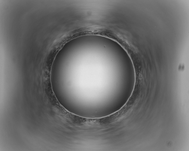 X0000091921447200709051430
