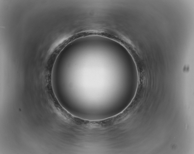 X0000091921448200709051430